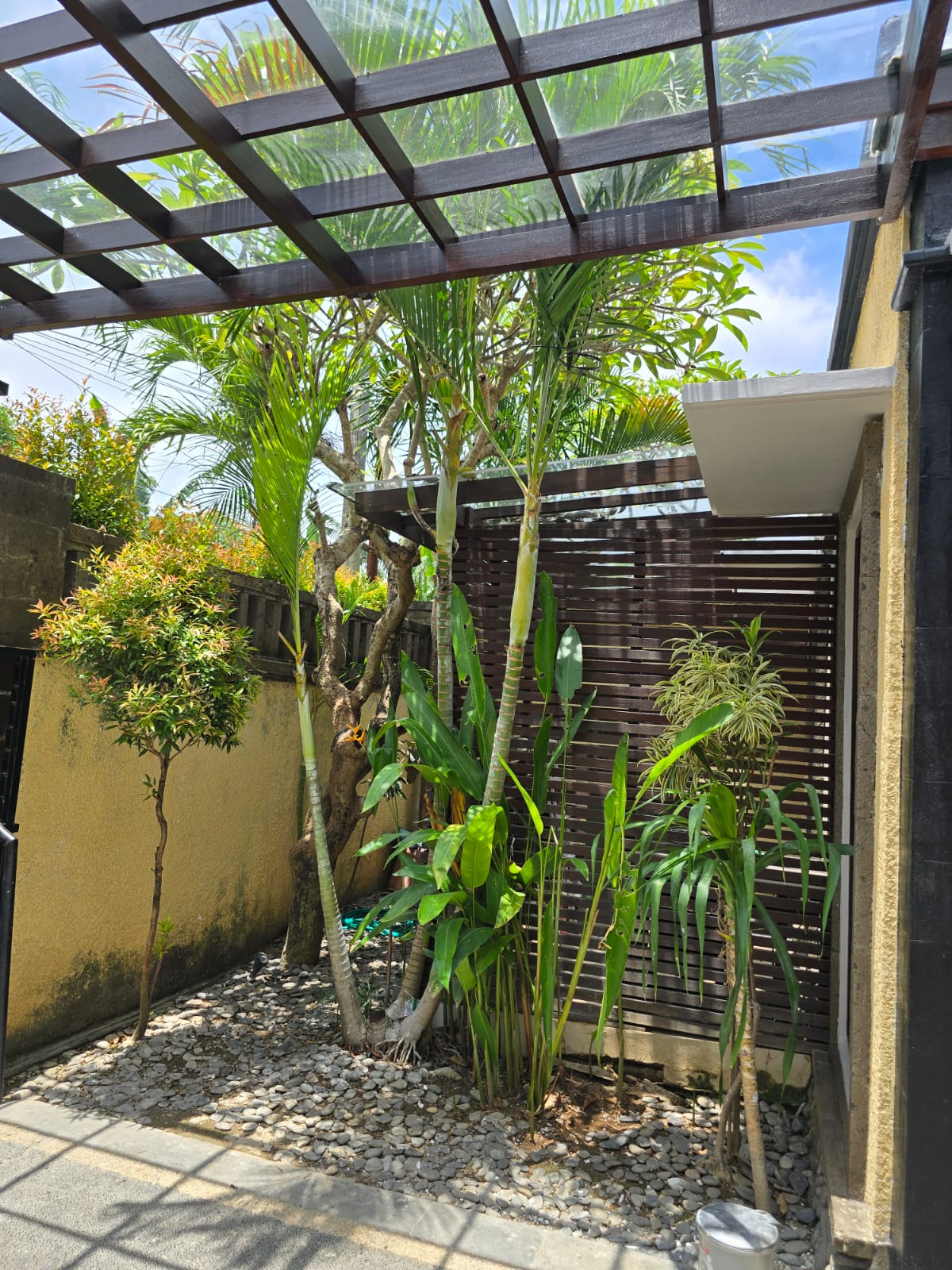 WhatsApp Image 2025-12-17 at 22.16.57_4a5284cb